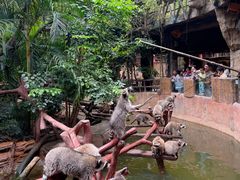 -长鹿旅游休博园