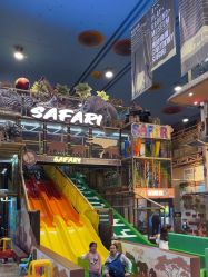 -卡通尼·Safari非洲探索乐园·生日会(金桥国际商业广场店)