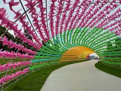 -秀丽东方
