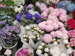-双季花艺园艺市场(浦东店)