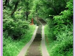 -青龙山国家森林公园