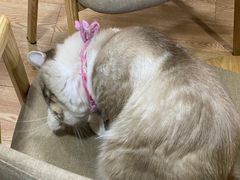 -白兔子密室(长寿路店)