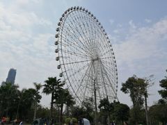 -凤岭儿童公园