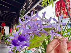 -道南書院·私房菜·早午茶·茶馆