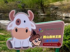 -北京西山国家森林公园