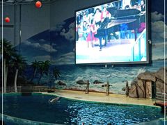 -福州罗源湾海洋世界旅游区