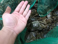 -岳各庄批发市场(西四环中路店)