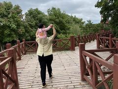 -中国扬子鳄村