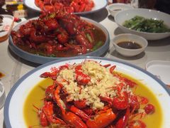 -杨氏青龙虾·羊蝎子(托乐嘉店)