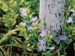 -钟山体育运动公园