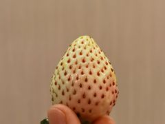 -和幸(温江新光天地店)