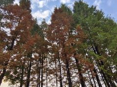 -白鹭湾湿地公园