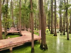 -东湖落雁景区