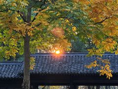 -西溪国家湿地公园