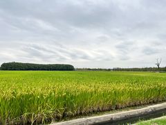 -嘉北郊野公园
