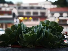 -九华山友谊土菜馆 小资餐厅