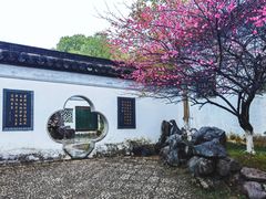 -八大山人梅湖景区