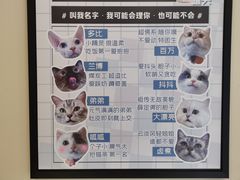 -猫力发电所·宠物专门店