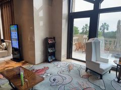 -童趣廊·儿童波波池·海洋球(长隆横琴湾酒店)