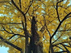 -红螺寺