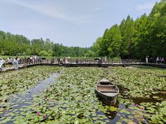 -溱湖国家湿地公园