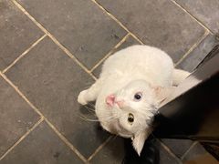 -张记牛肉面馆(天津路店)