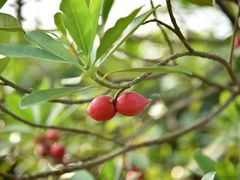 -广州神农草堂中医药博物馆