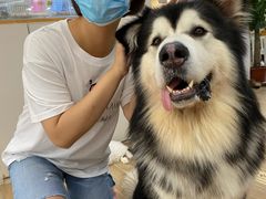 -李小姐の猫咖啡馆(五角场店)