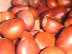 -金栗王(清扬路店)