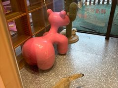 -囡的喵喵酱·萌宠生活馆·宠物洗护美容(胶州路店)