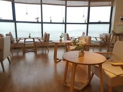 大堂-柴犬小屋·柴餐厅·狗咖食堂(金鼎广场店)