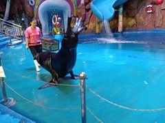 -烟台海昌鲸鲨海洋公园