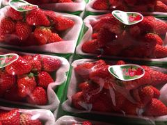 -双福水果批发市场