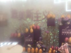 -深圳美莱医疗美容医院