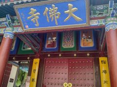 -张掖大佛寺景区