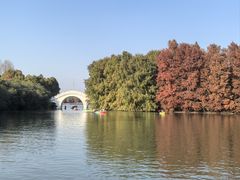 -上海海湾国家森林公园