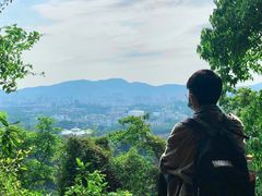 -火炉山森林公园