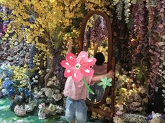 -正佳雨林生态植物园