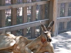 -水上乐园·欢乐世界