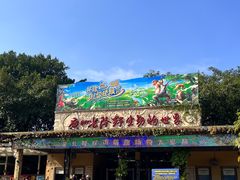 -广州长隆野生动物世界