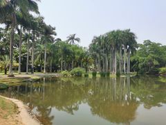 -中国科学院西双版纳热带植物园