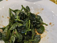 -海派美食·家宴海鲜青岛菜·石锅鲽鱼头(东方城店)