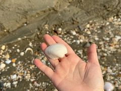 -万尾金滩