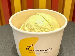 开心果冰淇淋-LUNEURS月乐诗·法式冰淇淋(北外滩来福士广场店)