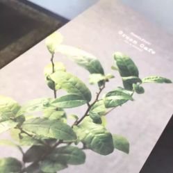 -悦诗风吟innisfree
