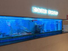 -老板恋上鱼(恒隆广场店)