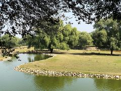 -北京麋鹿生态实验中心