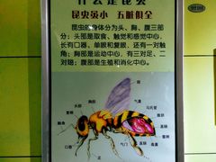 -上海昆虫博物馆