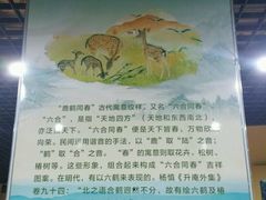 -北京鹿世界主题园