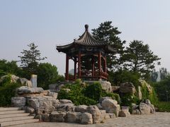 -大兴滨河森林公园